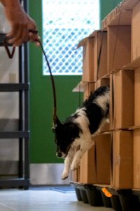 20190404-OSEC-LSC-0320