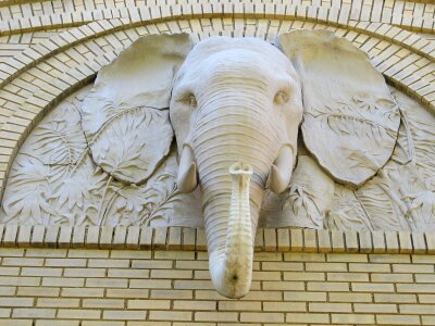 Stone design artistic