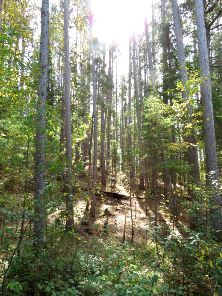 20190924-FS-Superior-SAR-018
