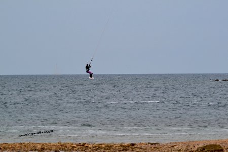 DSC 0002