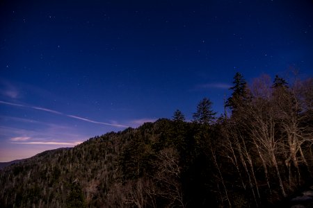 Night sky at Clingmans Dome, March 2018--Thom McManus