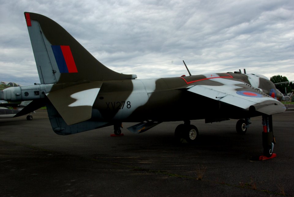 Harrier photo