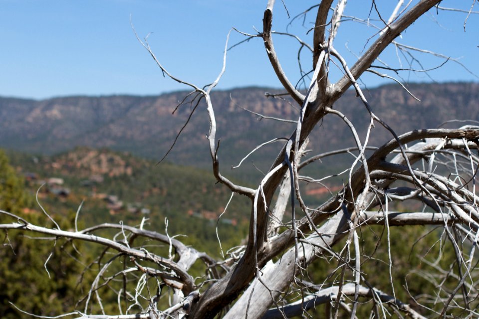 Behold the Mogollon Rim