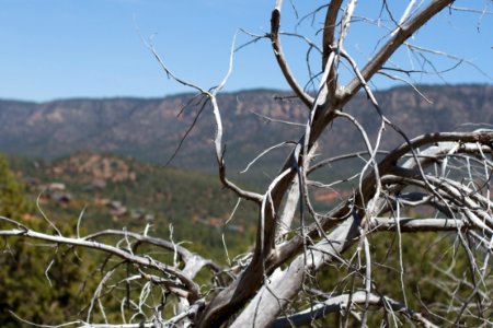 Behold the Mogollon Rim