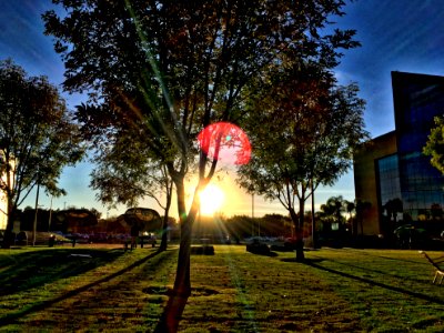 2016/366/342 Radiating on Tec de Monterrey