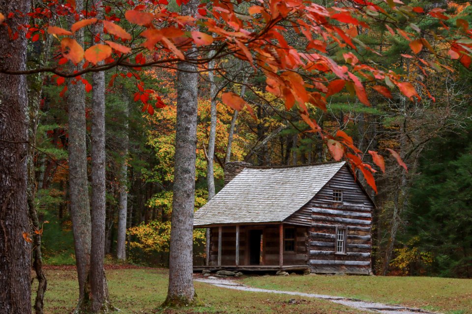 Carter Shields Cabin, October 24, 2020 -- Warren Bielenberg