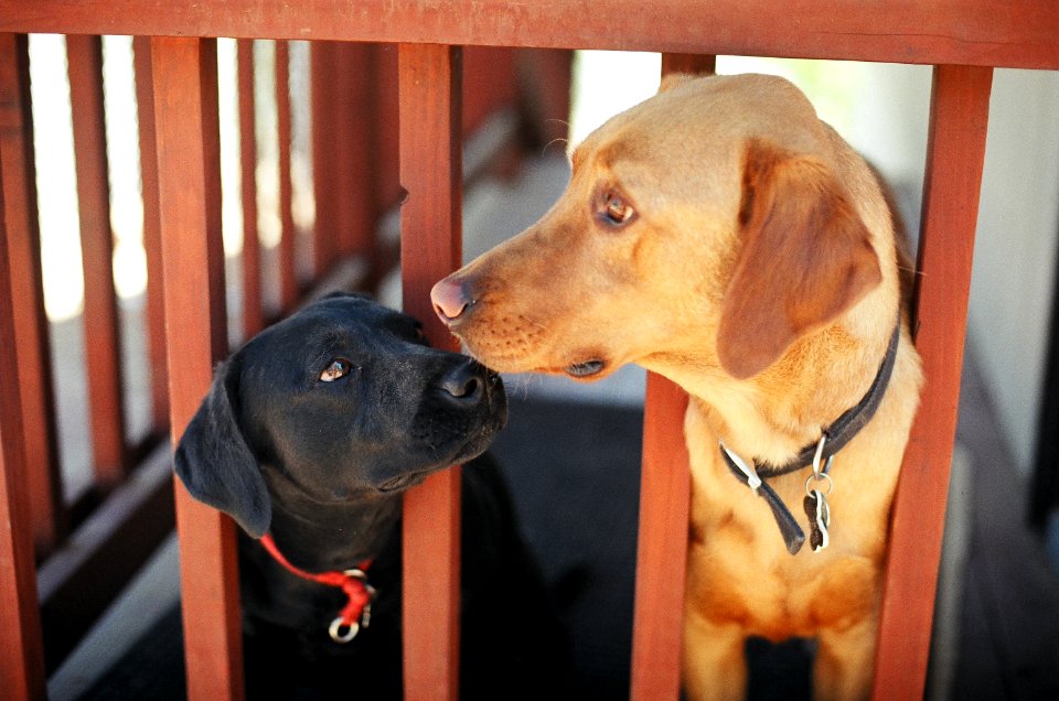 Brother and Sister