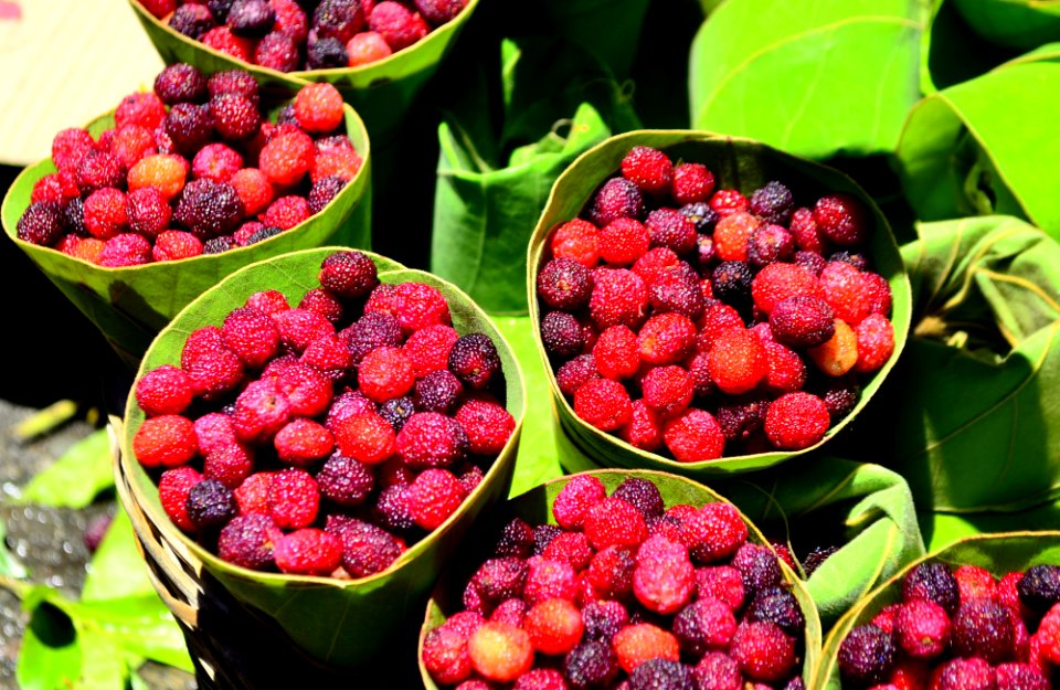 Kafal, the taste of Kumaon.