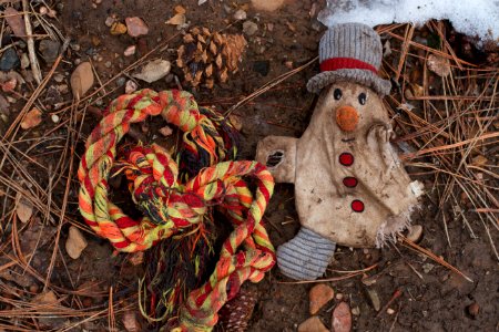 Toys No Longer Buried by Snow