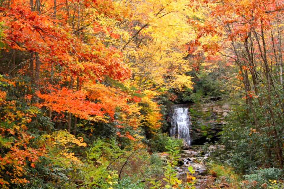 Meigs Falls, October 2013--Warren Bielenberg