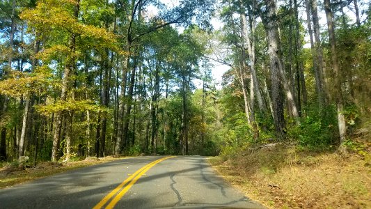 Daingerfield State Park photo