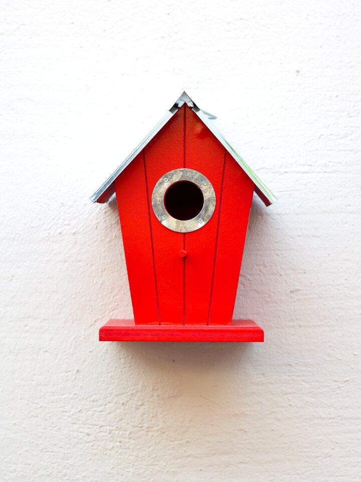 Nesting place bird feeder incubator