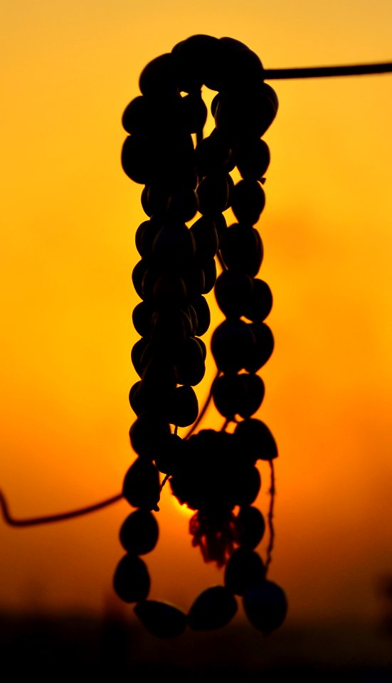 Like sunset faith never dies