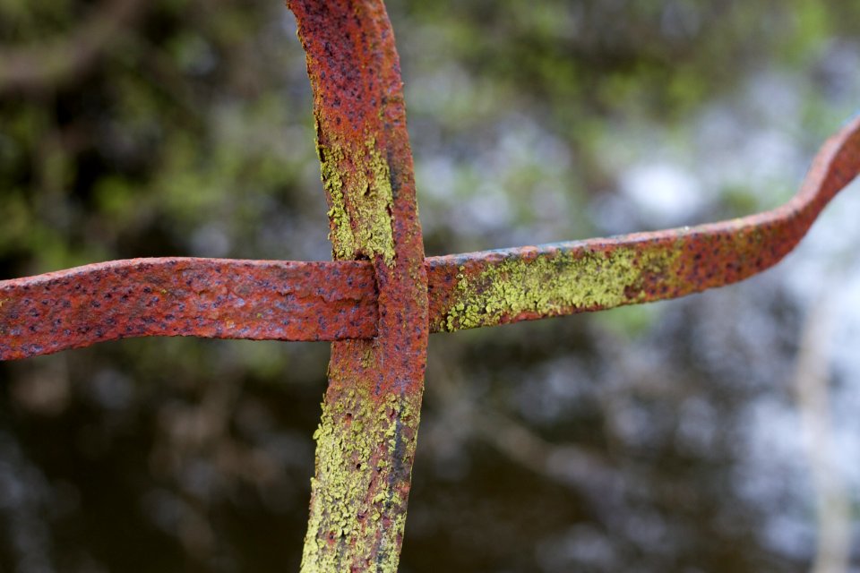 Rust Never Crosses