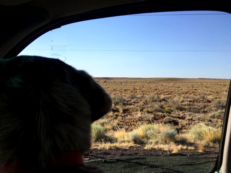 Watching the High Desert, South of Winslow