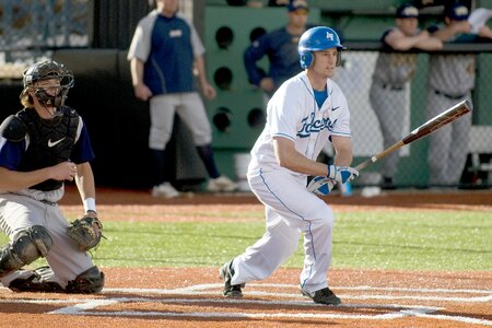 Players catcher bat photo