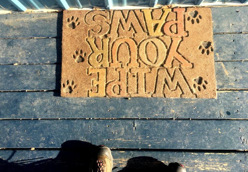 Where's My Paws?
