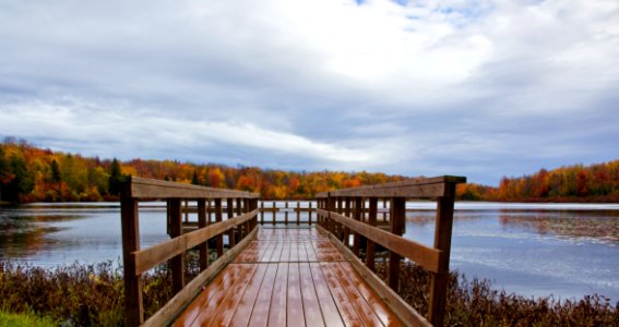 DOCK