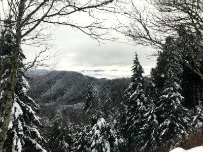 Snowy view from Newfound Gap, December 10, 2018