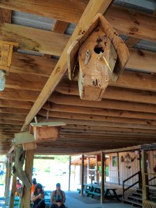 20180823 New Orleans, Alligator trail boat