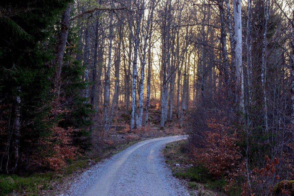 Sunset near Åsnens National park