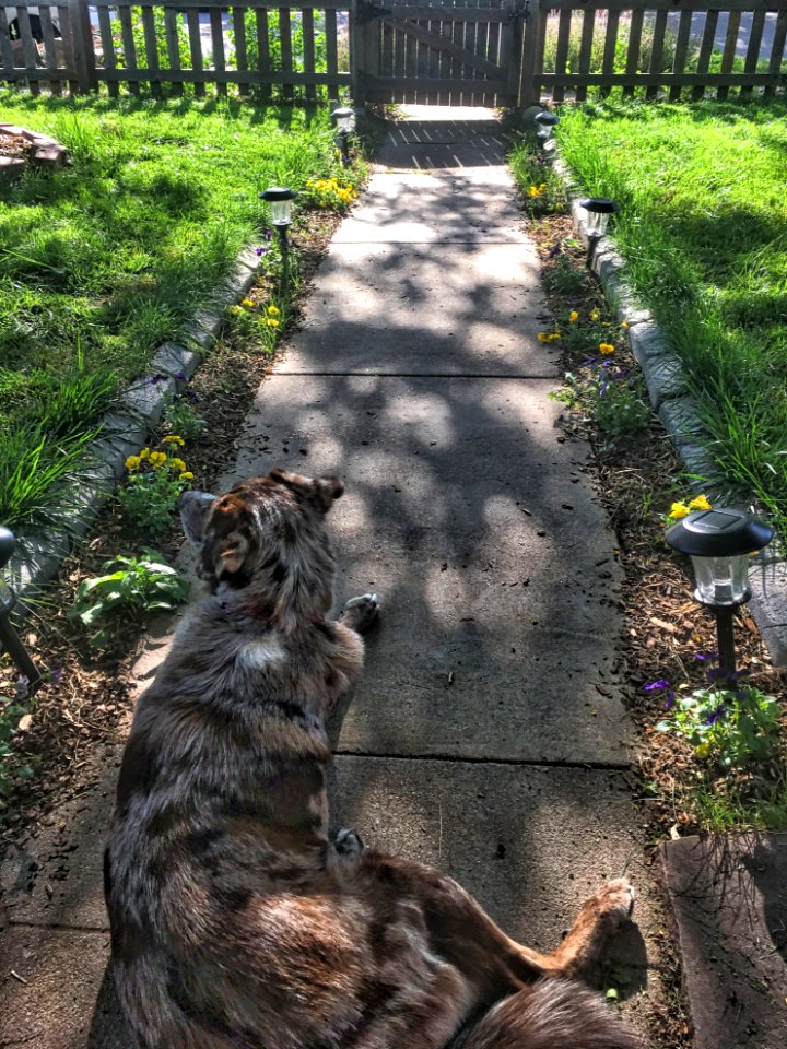 A New Yard for 3 Days