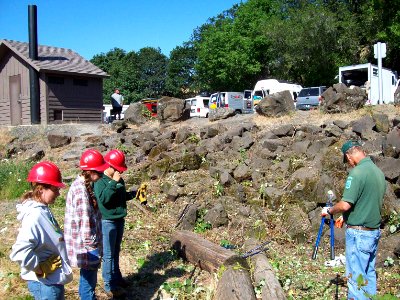 Invasive Species Removal