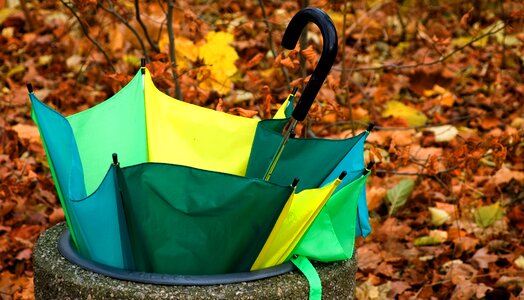 Autumn green yellow golden autumn