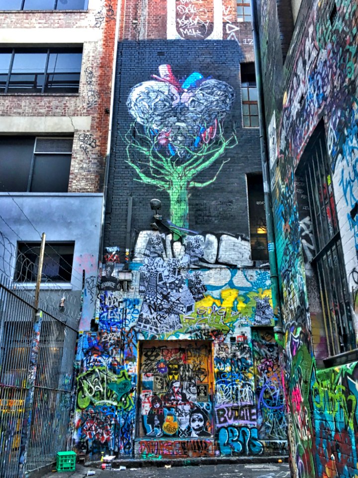 2017/365/324 The Roots of a Graffiti Tree Go Deep