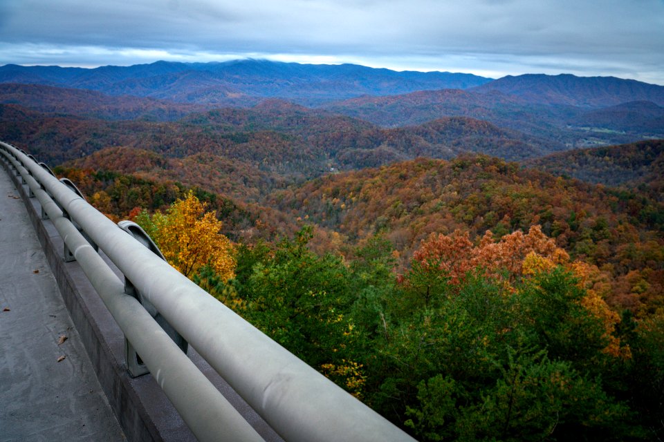Foothills Parkway, November 2018--Joye Ardyn Durham