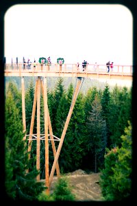 Treetop walk Bachledka