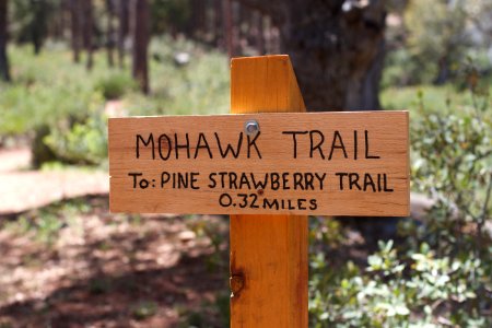 Trail Sign