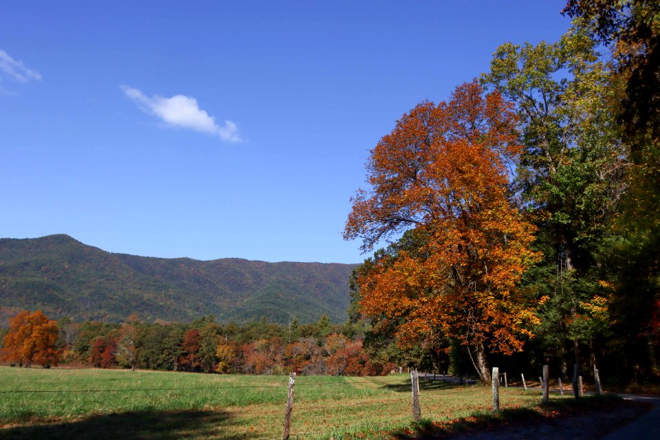 Cades Cove, October  20, 2020 -- Warren Bielenberg (1)