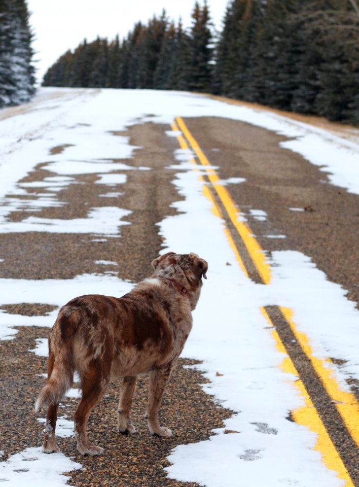 Like I Said, The Road Beckons