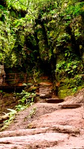 Devil's Pulpit / Finnich Glen