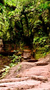 Devil's Pulpit / Finnich Glen photo