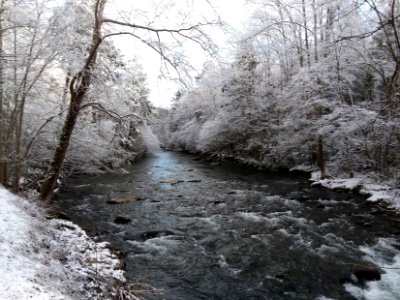 Stream with snow, 1/29/2019--NPS photo