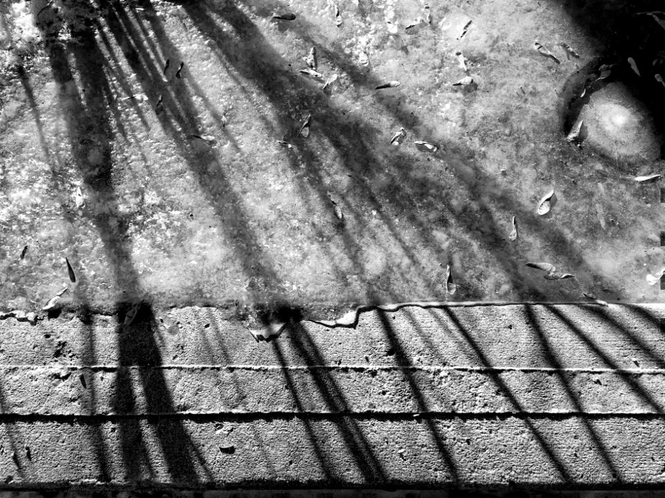 2019/365/8 Boundary Crossing