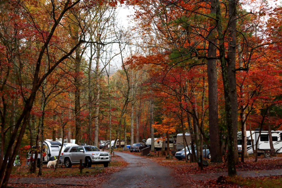 Cades Cove Campground, October 24, 2020 -- Warren Bielenberg (5)