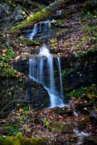 Foothills Parkway, November 2018--Joye Ardyn Durham