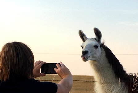 "You Will Make Me Look Good on Social Media?" photo