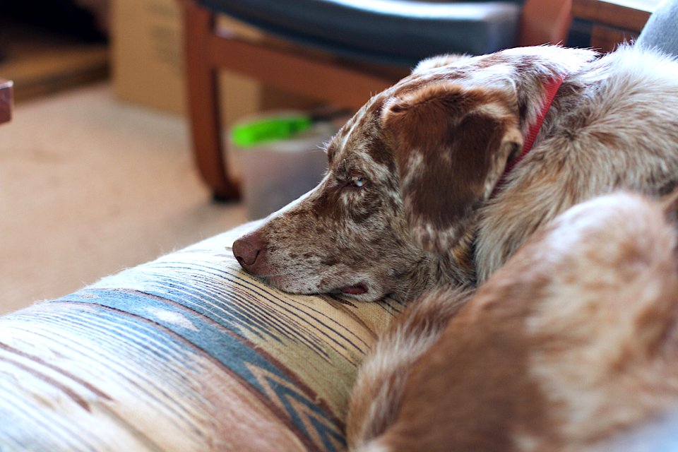 Deep Philosophical Pondering