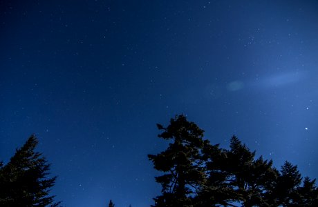 Night sky at Clingmans Dome, March 2018--Thom McManus