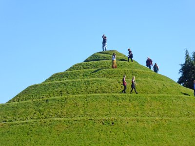 Garden of Cosmic Speculation