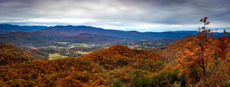 Foothills Parkway, November 2018--Joye Ardyn Durham