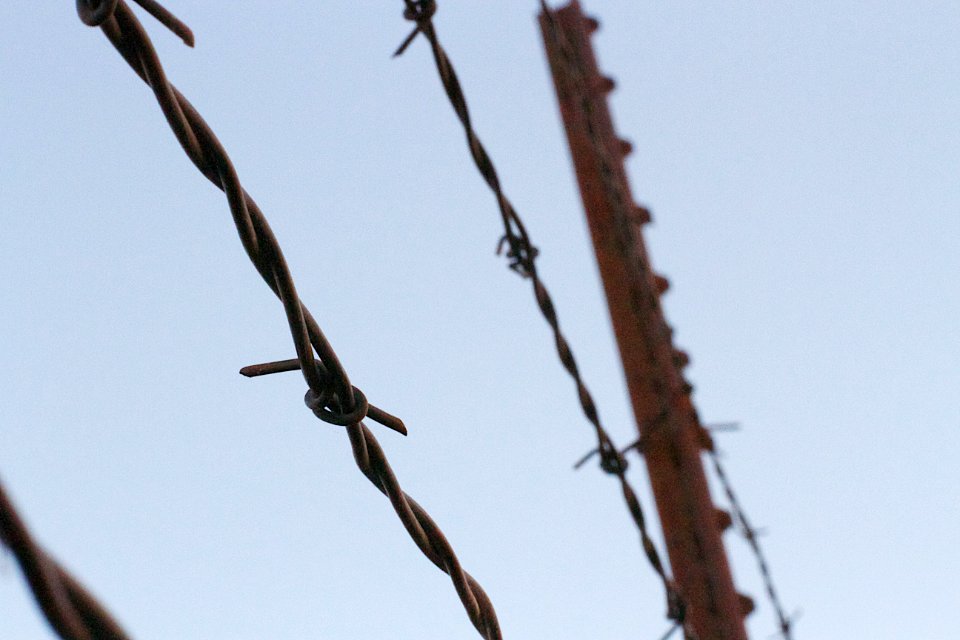 Slipping Under the Barb Wire Fence
