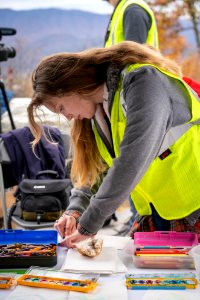 Foothills Parkway Community Day, November 8, 2018--Joye Ardyn Durham