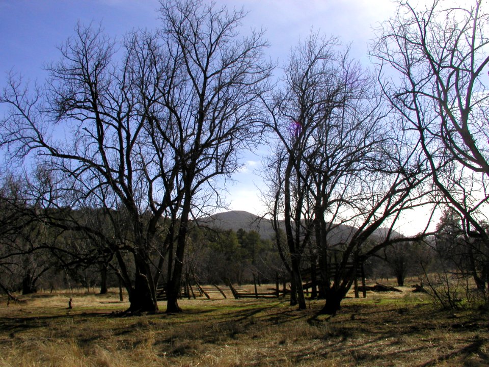 Reavis Ranch