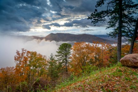 Foothills Parkway, November 2018--Joye Ardyn Durham