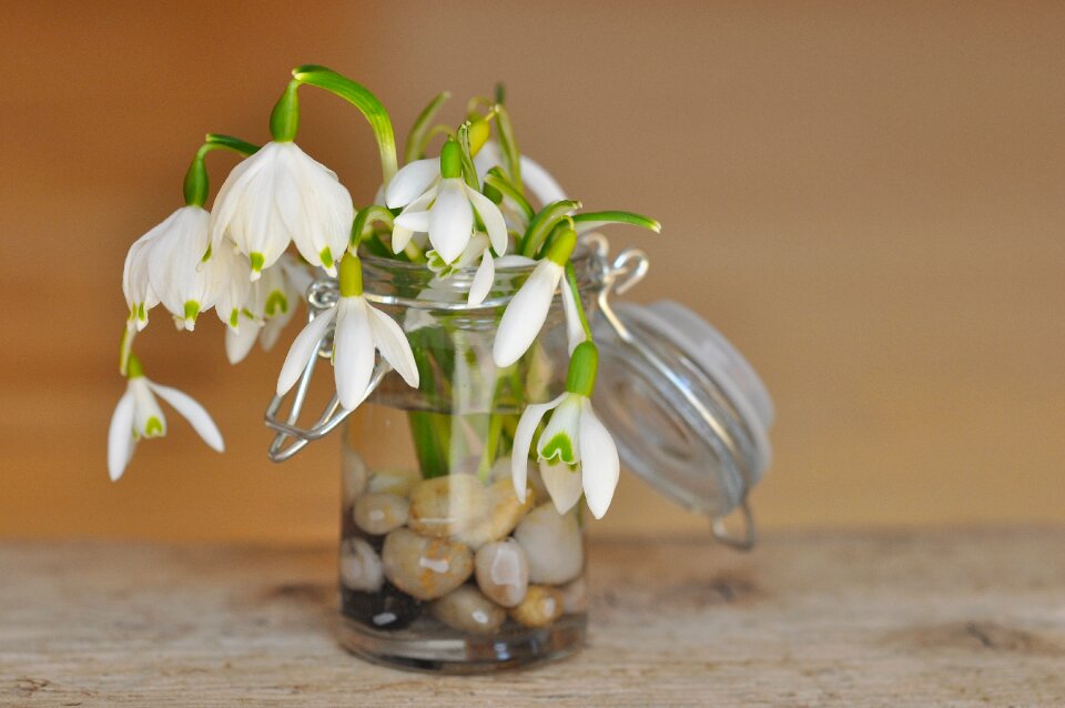 Glass stones vase photo